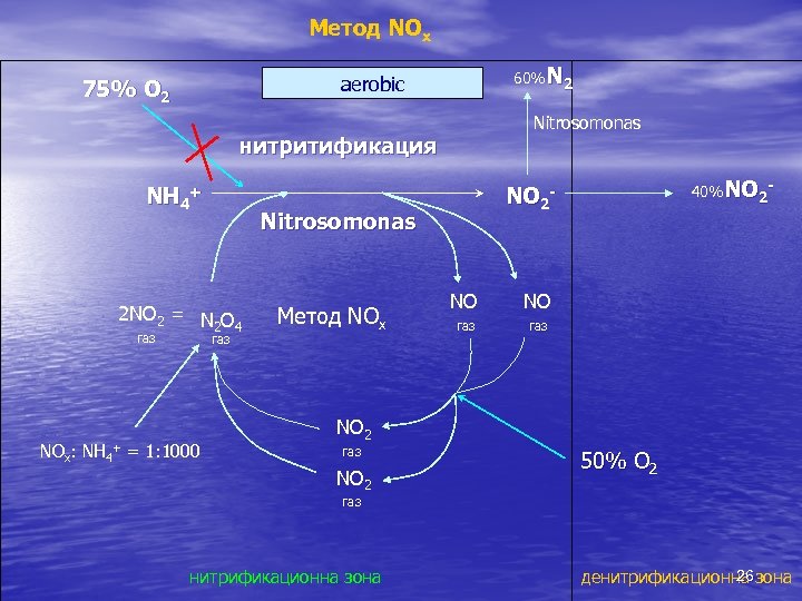 Метод NOx 60%N 2 aerobic 75% O 2 Nitrosomonas нитритификация NH 4+ Nitrosomonas 2