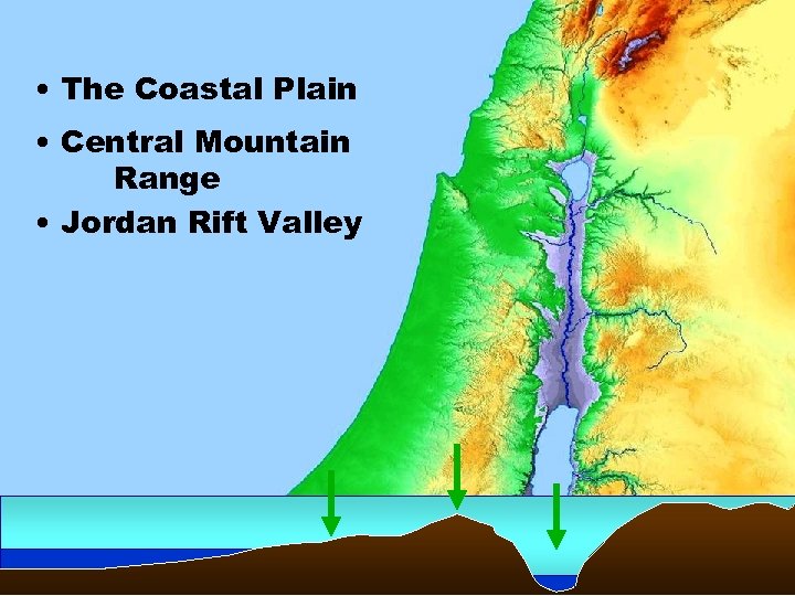  • The Coastal Plain • Central Mountain Range • Jordan Rift Valley 