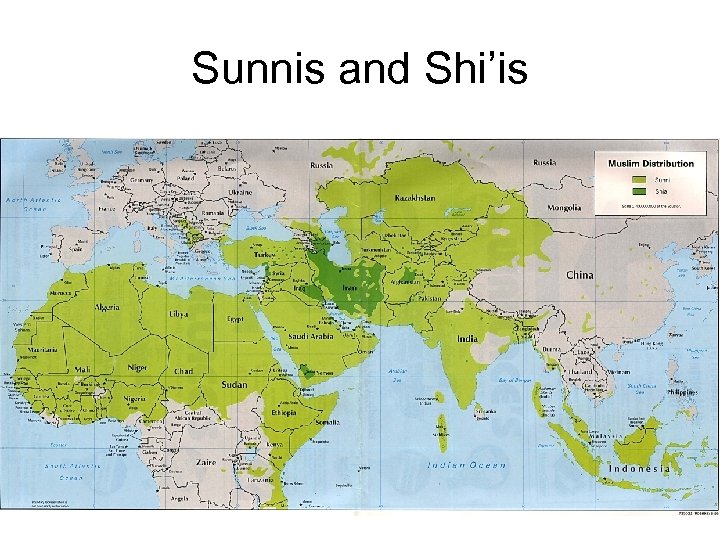 Sunnis and Shi’is 