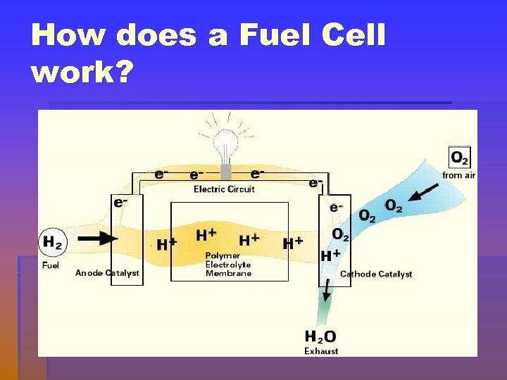 How does a Fuel Cell work? 