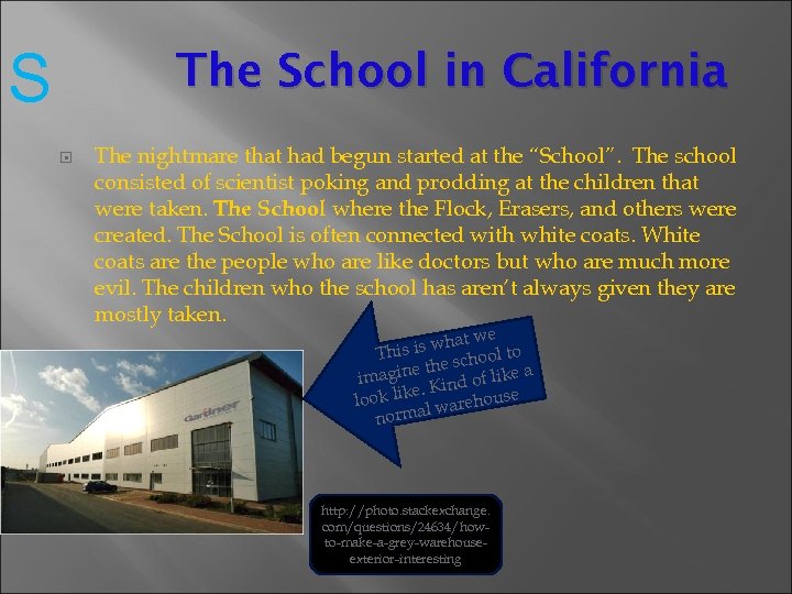 S The School in California The nightmare that had begun started at the “School”.