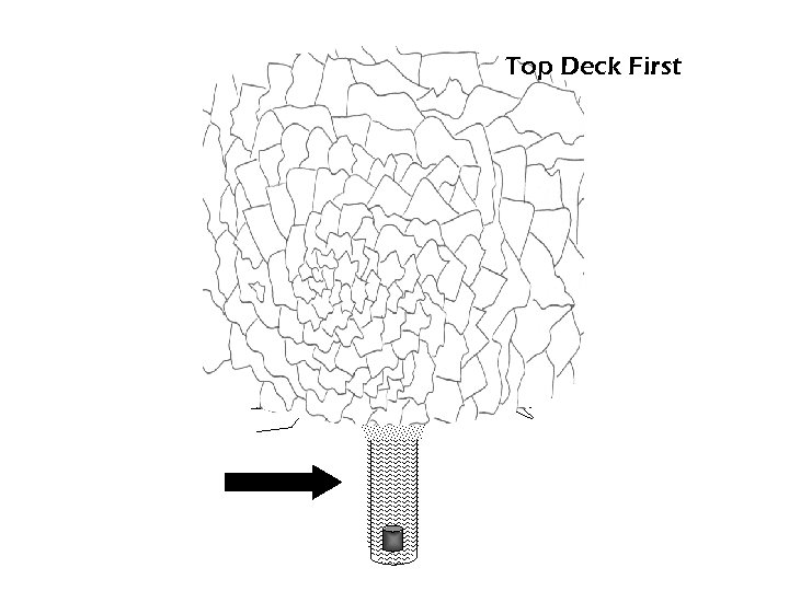 Top Deck First 