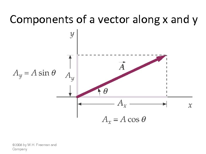 Components of a vector along x and y © 2008 by W. H. Freeman