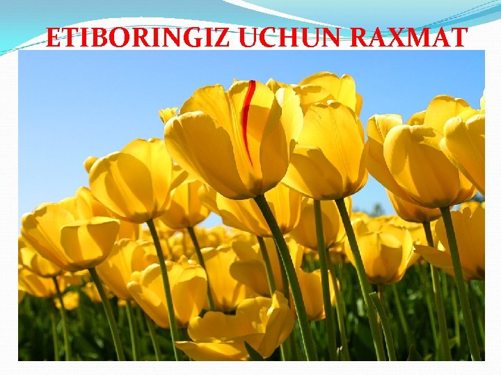 ETIBORINGIZ UCHUN RAXMAT 