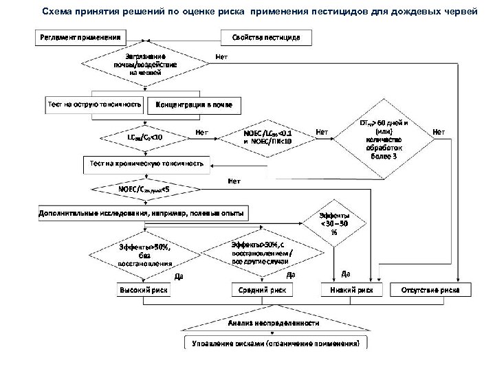 Схема принятия решений по оценке риска применения пестицидов для дождевых червей 