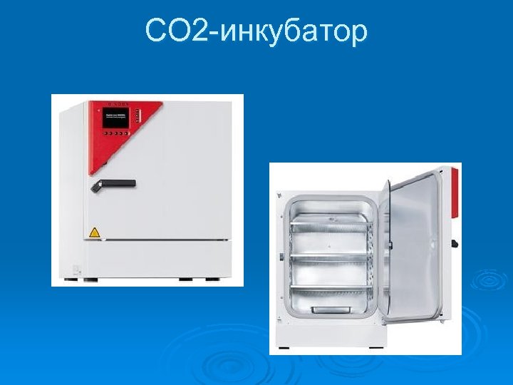 CO 2 -инкубатор 