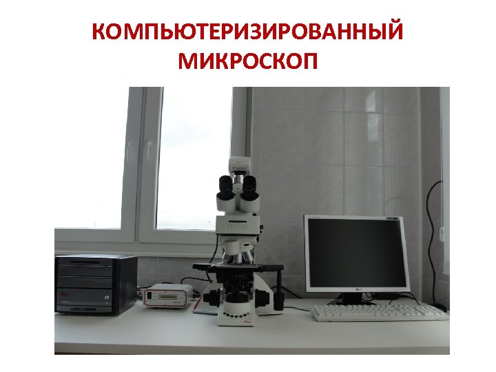 КОМПЬЮТЕРИЗИРОВАННЫЙ МИКРОСКОП 