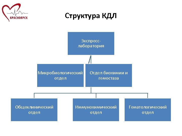 Структура КДЛ Экспресслаборатория Микробиологический отдел Общеклинический отдел Отдел биохимии и гемостаза Иммунохимический отдел Гематологический