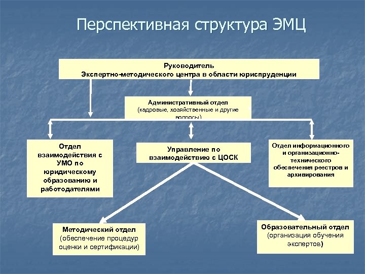 Перспективная структура ЭМЦ Руководитель Экспертно-методического центра в области юриспруденции Административный отдел (кадровые, хозяйственные и