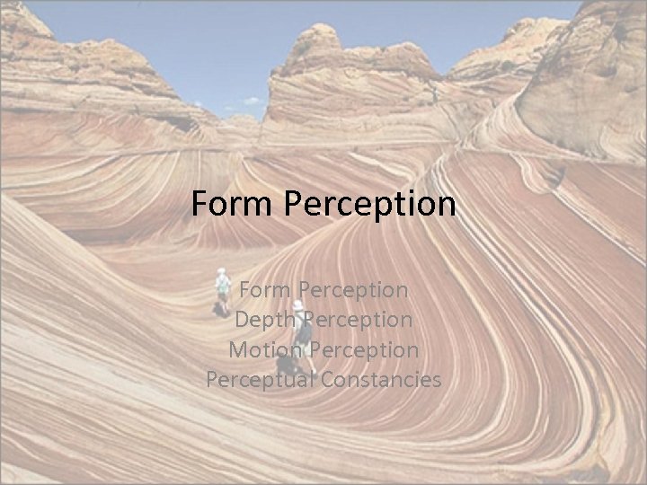 Form Perception Depth Perception Motion Perceptual Constancies 