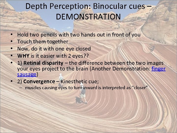Depth Perception: Binocular cues – DEMONSTRATION Hold two pencils with two hands out in