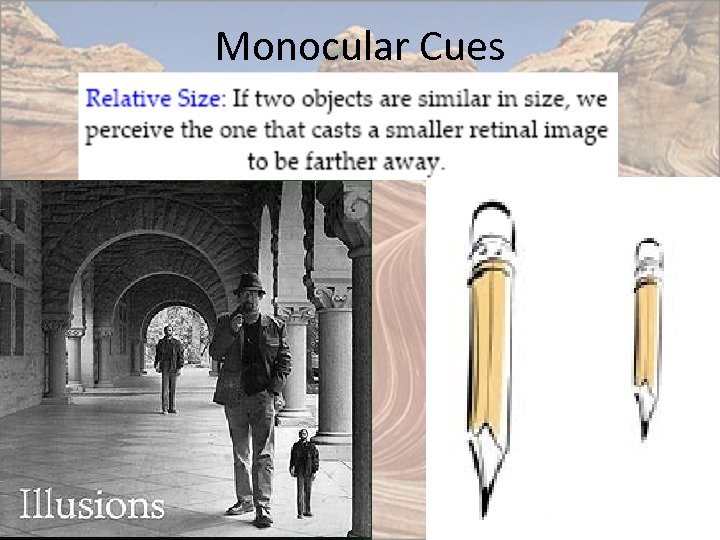 Monocular Cues 