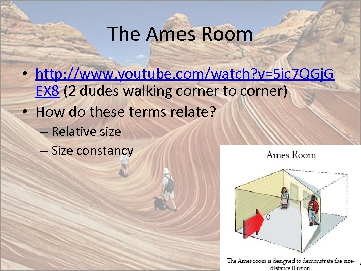 The Ames Room • http: //www. youtube. com/watch? v=5 ic 7 QGj. G EX