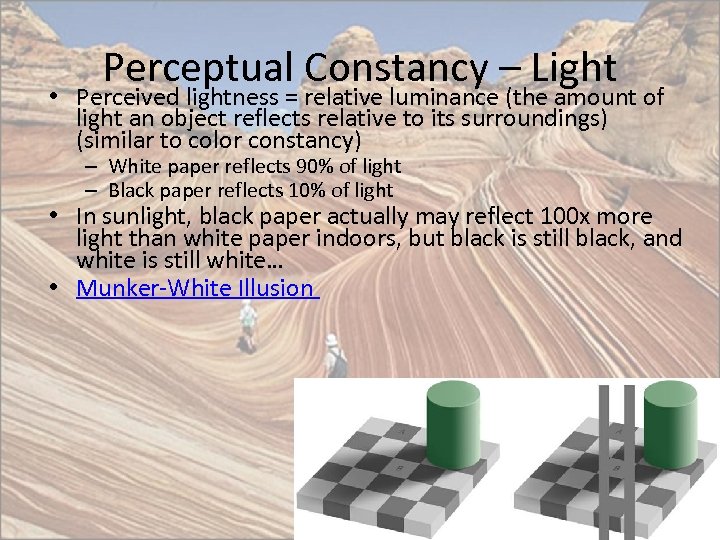 Perceptual Constancy – Light • Perceived lightness = relative luminance (the amount of light