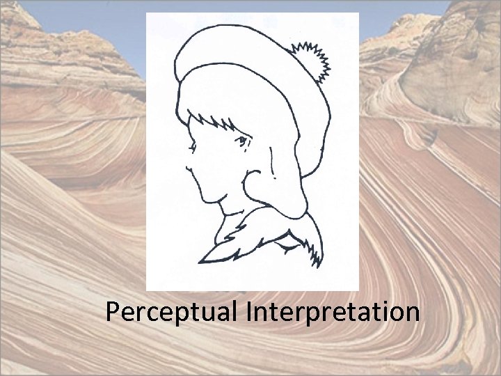 Perceptual Interpretation 