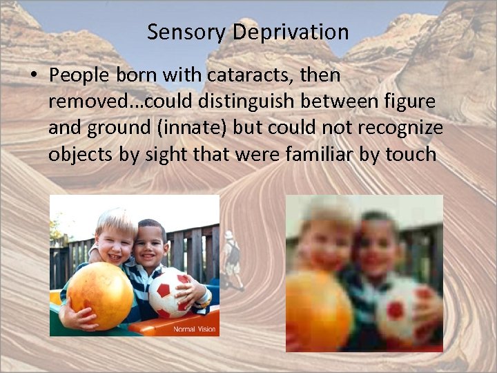 Sensory Deprivation • People born with cataracts, then removed…could distinguish between figure and ground