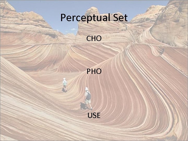 Perceptual Set CHO PHO USE 