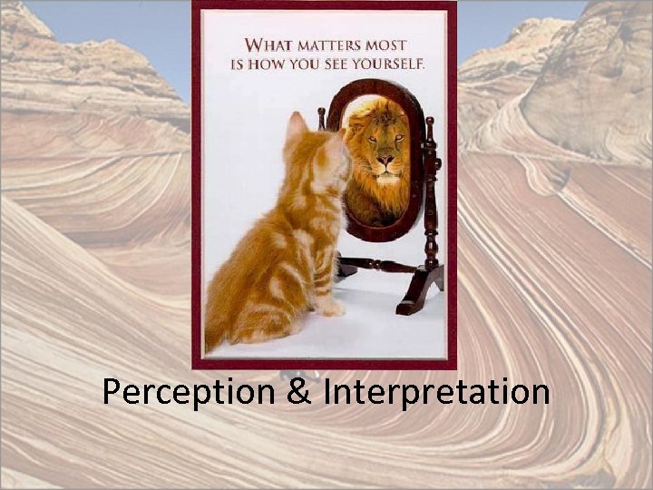 Perception & Interpretation 