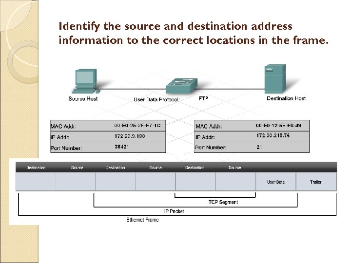 Identify the source and destination address information to the correct locations in the frame.