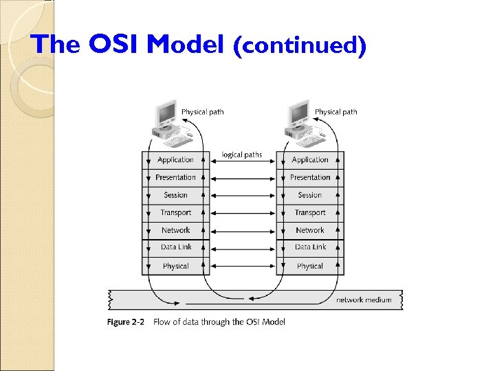 The OSI Model (continued) 