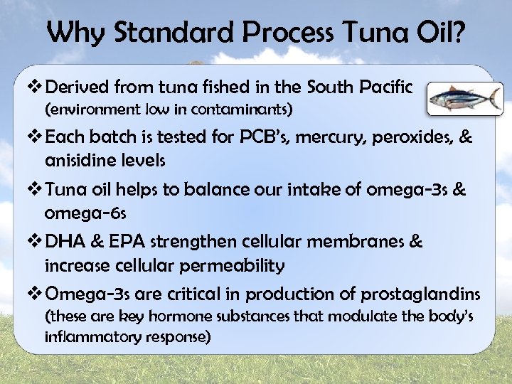 Why Standard Process Tuna Oil? v Derived from tuna fished in the South Pacific