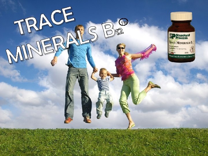 CE RA 12 T SB AL ER IN M TM 