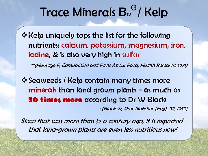 Trace Minerals B 12 / Kelp TM v Kelp uniquely tops the list for