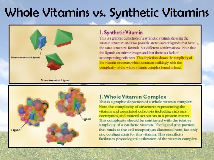 Whole Vitamins vs. Synthetic Vitamins 