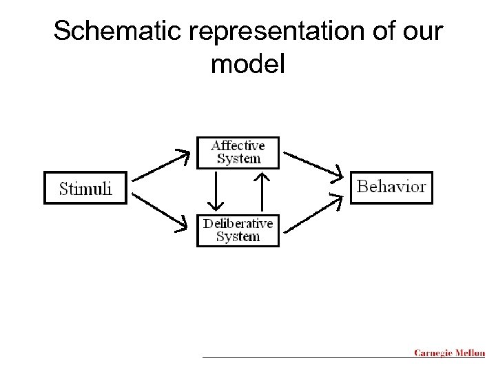 Schematic representation of our model 
