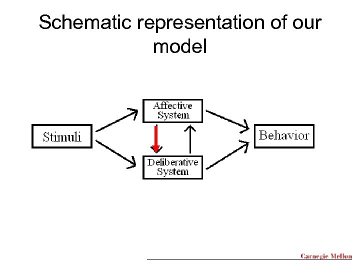 Schematic representation of our model 