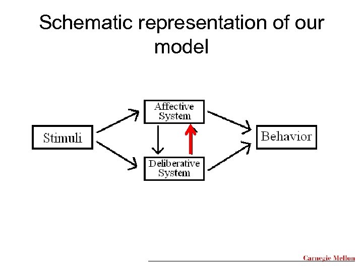 Schematic representation of our model 
