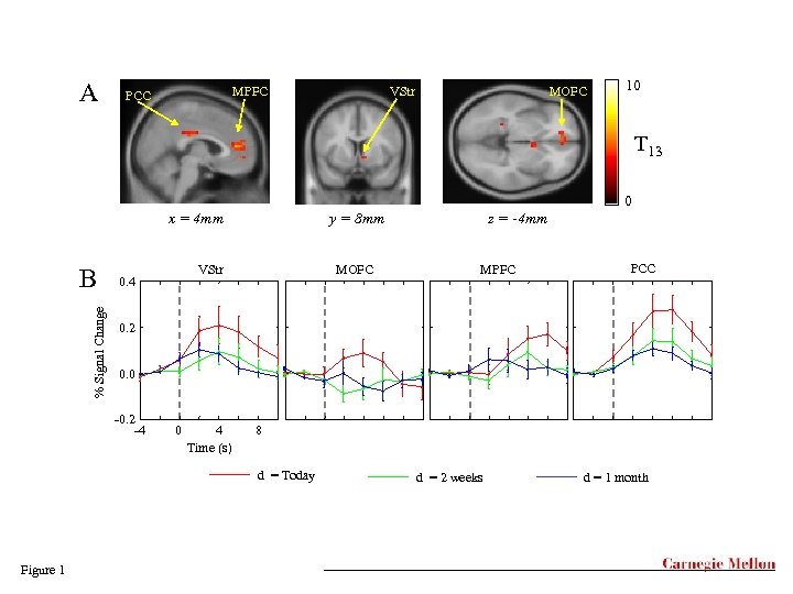 A MPFC PCC VStr MOFC 10 T 13 0 x = 4 mm %