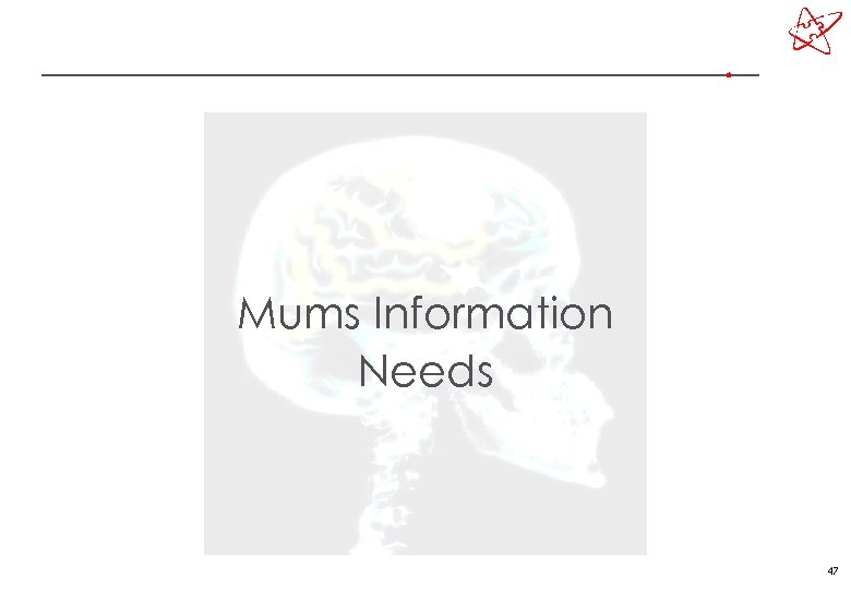 Mums Information Needs 47 