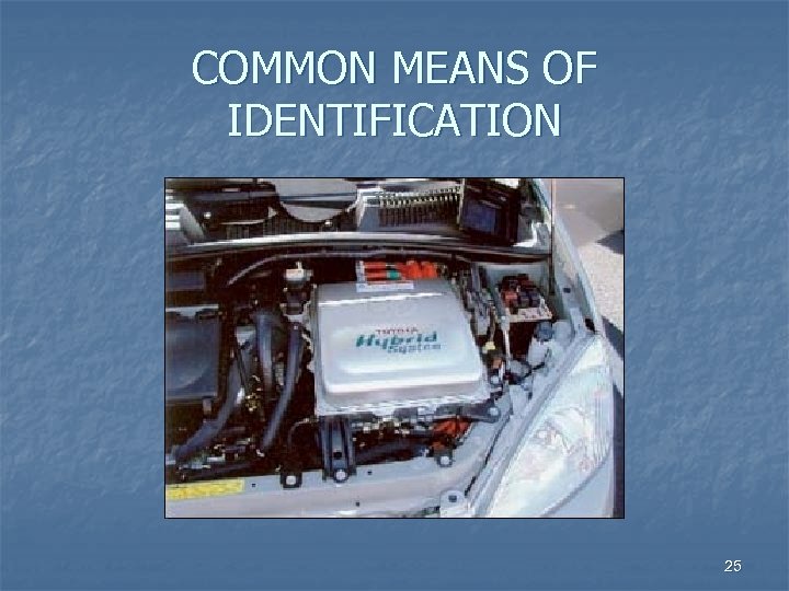 COMMON MEANS OF IDENTIFICATION 25 