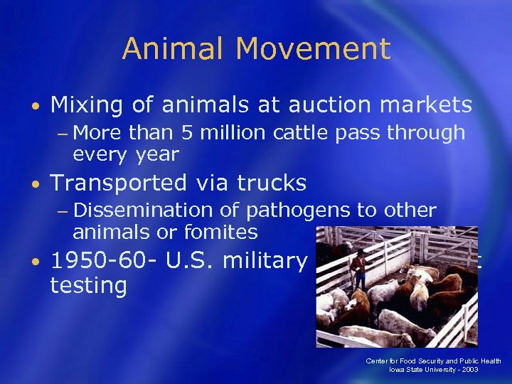 Animal Movement • Mixing of animals at auction markets − More than 5 million