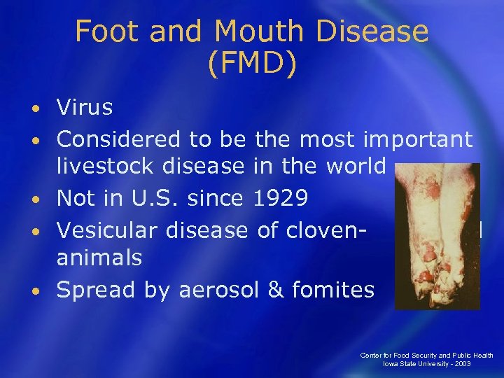 Foot and Mouth Disease (FMD) • • • Virus Considered to be the most