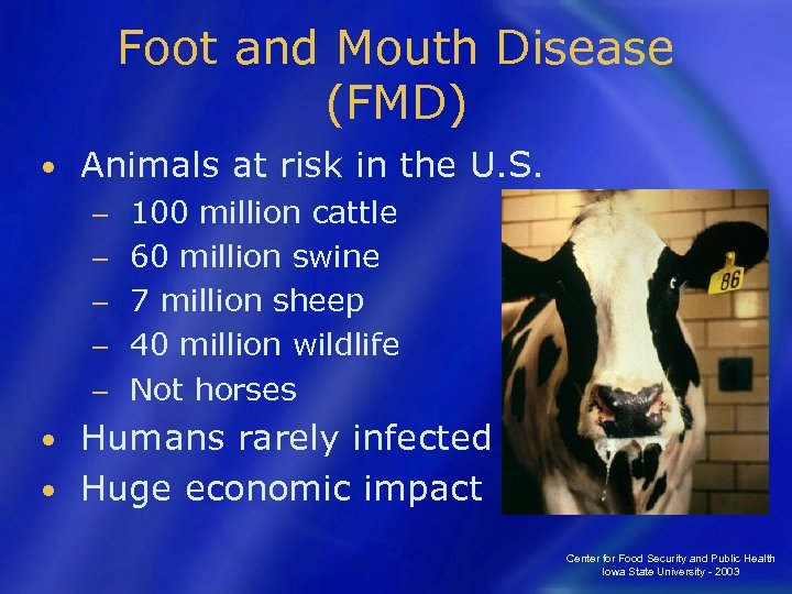 Foot and Mouth Disease (FMD) • Animals at risk in the U. S. −