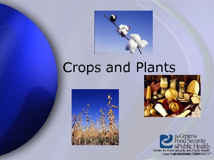 Crops and Plants Center for Food Security and Public Health Iowa State University -