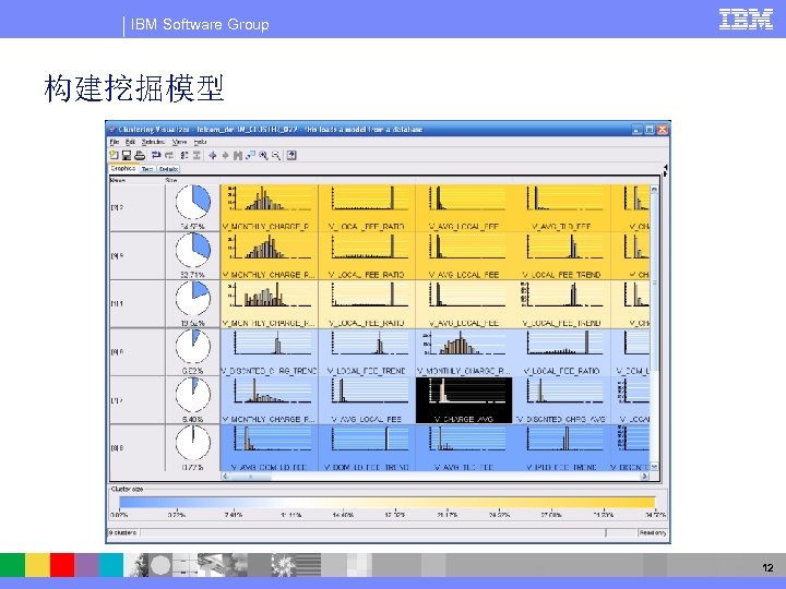 IBM Software Group 构建挖掘模型 12 