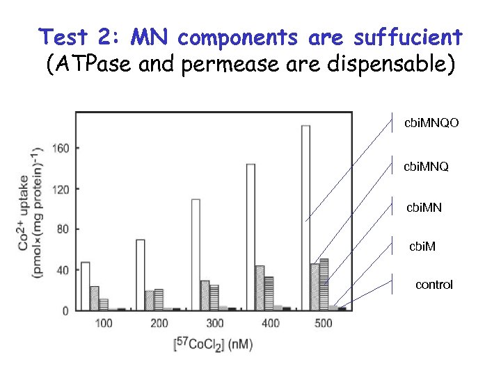 Test 2: MN components are suffucient (ATPase and permease are dispensable) cbi. MNQO cbi.