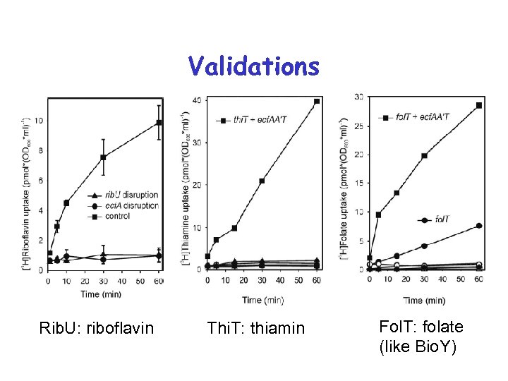 Validations Rib. U: riboflavin Thi. T: thiamin Fol. T: folate (like Bio. Y) 