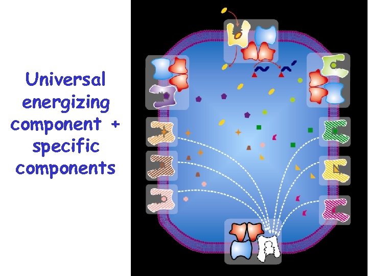 Universal energizing component + specific components 