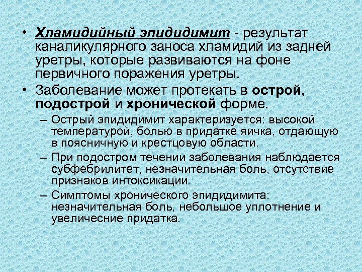  • Хламидийный эпидидимит результат каналикулярного заноса хламидий из задней уретры, которые развиваются на