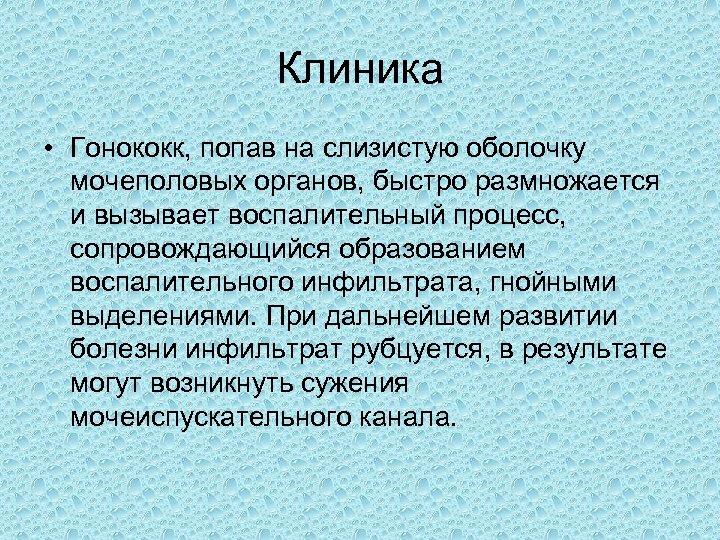 Клиника • Гонококк, попав на слизистую оболочку мочеполовых органов, быстро размножается и вызывает воспалительный