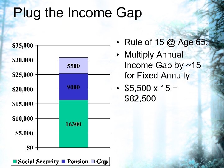 Plug the Income Gap • Rule of 15 @ Age 65: • Multiply Annual