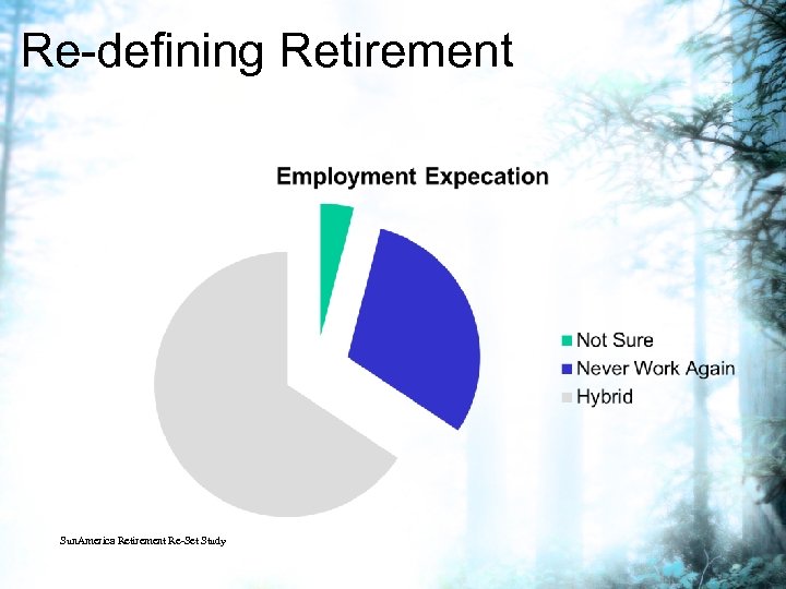 Re-defining Retirement Sun. America Retirement Re-Set Study 
