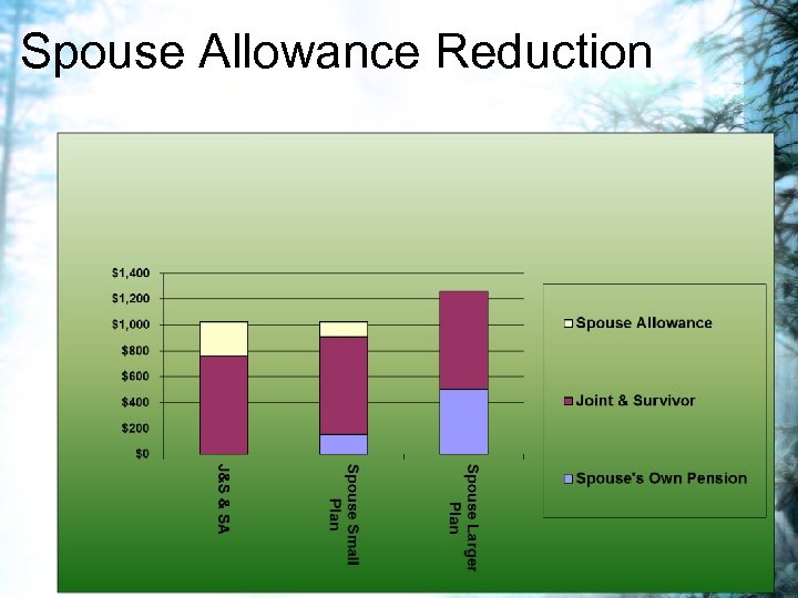 Spouse Allowance Reduction 
