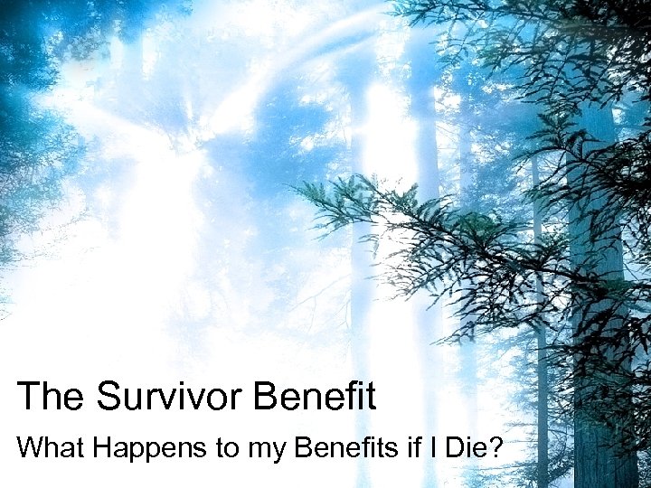 The Survivor Benefit What Happens to my Benefits if I Die? 