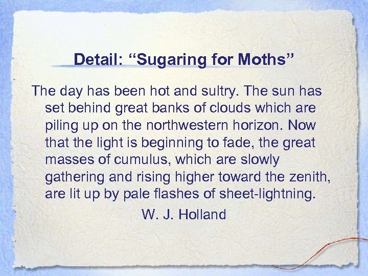 Detail: “Sugaring for Moths” The day has been hot and sultry. The sun has