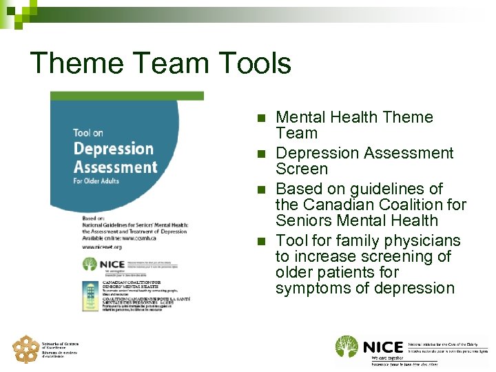 Theme Team Tools n n Mental Health Theme Team Depression Assessment Screen Based on